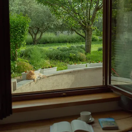 Il Lilla * Анкаран