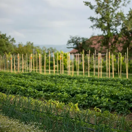 Il Lilla Апартаменты Анкаран