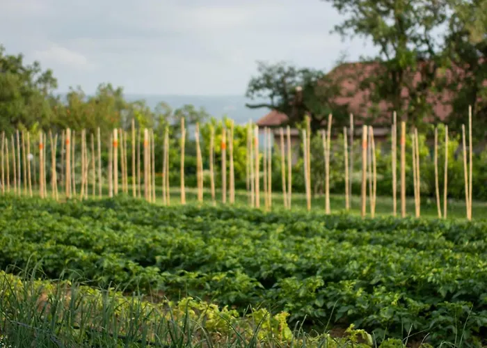 Il Lilla Apartma Ankaran